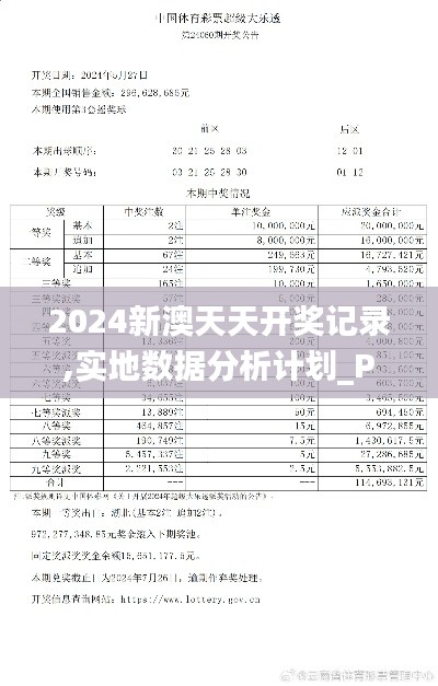 2024新澳天天开奖记录,实地数据分析计划_PalmOS69.964-6