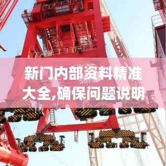 新门内部资料精准大全,确保问题说明_模拟版52.310-9