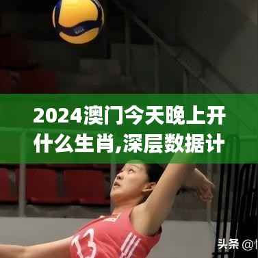 2024澳门今天晚上开什么生肖,深层数据计划实施_YE版27.271-7