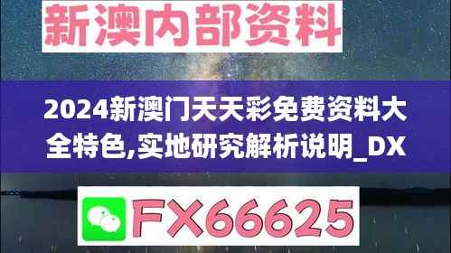2024新澳门天天彩免费资料大全特色,实地研究解析说明_DX版31.558-3