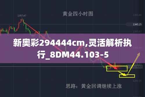新奥彩294444cm,灵活解析执行_8DM44.103-5