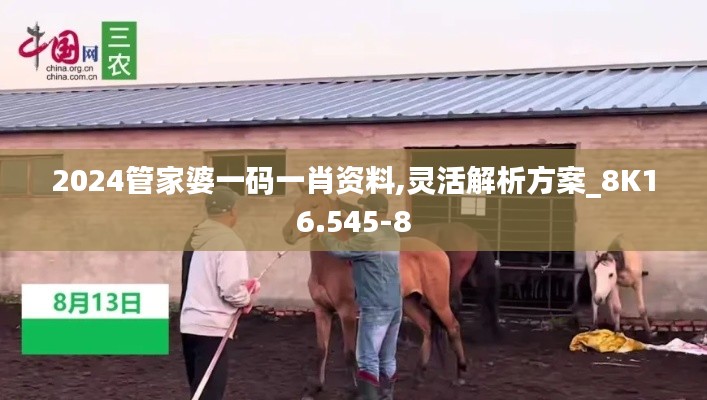 2024管家婆一码一肖资料,灵活解析方案_8K16.545-8