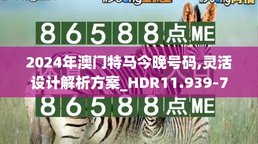 2024年澳门特马今晚号码,灵活设计解析方案_HDR11.939-7