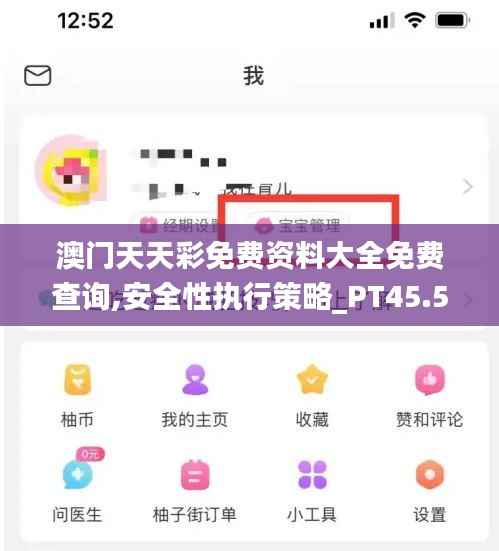 澳门天天彩免费资料大全免费查询,安全性执行策略_PT45.503-8