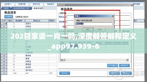 202管家婆一肖一吗,深度解答解释定义_app97.939-6