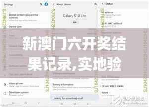 新澳门六开奖结果记录,实地验证设计解析_PalmOS56.541-6