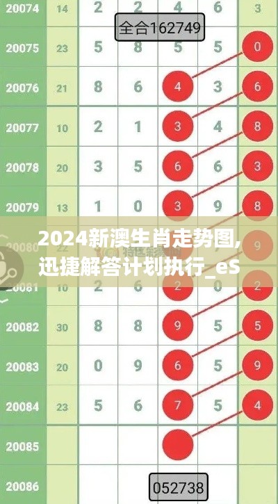 2024新澳生肖走势图,迅捷解答计划执行_eShop131.335-4