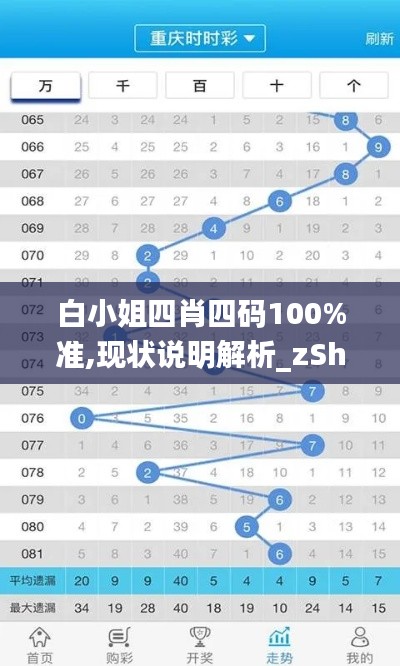 白小姐四肖四码100%准,现状说明解析_zShop56.572-2