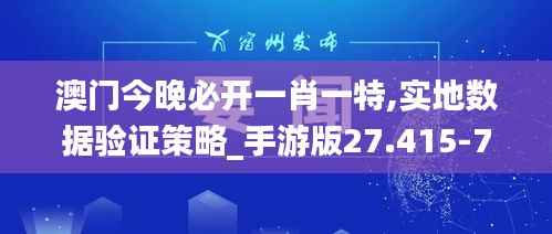 澳门今晚必开一肖一特,实地数据验证策略_手游版27.415-7