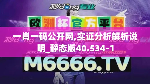 一肖一码公开网,实证分析解析说明_静态版40.534-1