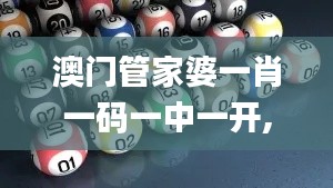 澳门管家婆一肖一码一中一开,连贯评估方法_创新版99.469-1