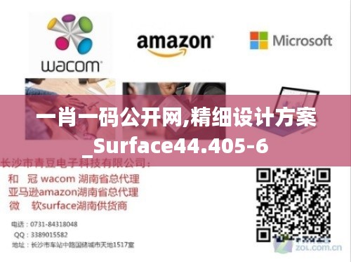 一肖一码公开网,精细设计方案_Surface44.405-6