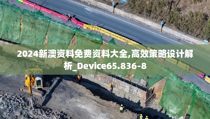 2024新澳资料免费资料大全,高效策略设计解析_Device65.836-8