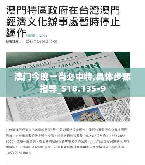 澳门今晚一肖必中特,具体步骤指导_S18.135-9