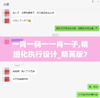 一肖一码一一肖一子,精细化执行设计_精英版72.454-9