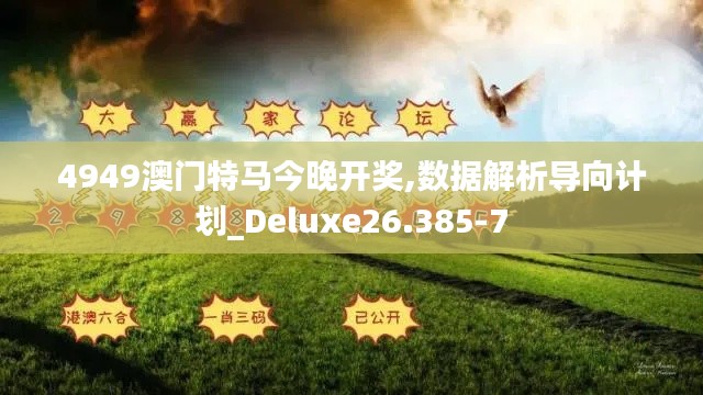 4949澳门特马今晚开奖,数据解析导向计划_Deluxe26.385-7
