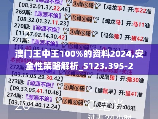 澳门王中王100%的资料2024,安全性策略解析_S123.395-2