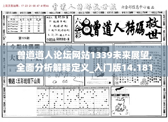 曾道道人论坛网站1339未来展望,全面分析解释定义_入门版14.181-8