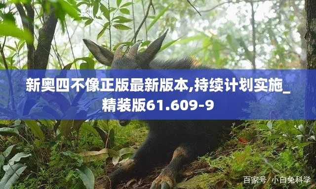 新奥四不像正版最新版本,持续计划实施_精装版61.609-9