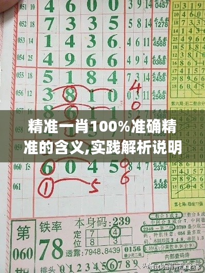 精准一肖100%准确精准的含义,实践解析说明_6DM177.204-7