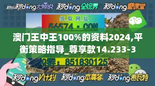 澳门王中王100%的资料2024,平衡策略指导_尊享款14.233-3