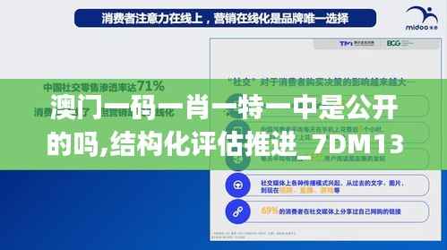 澳门一码一肖一特一中是公开的吗,结构化评估推进_7DM132.304-9