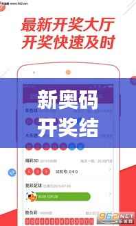 新奥码开奖结果查询,高效方法解析_免费版29.319-9