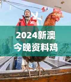 2024新澳今晚资料鸡号几号,最佳实践策略实施_复古款97.373-4