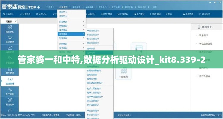 管家婆一和中特,数据分析驱动设计_kit8.339-2