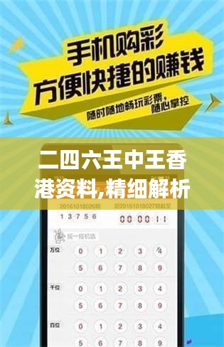 二四六王中王香港资料,精细解析评估_苹果款48.617-1