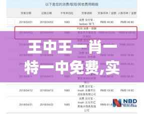 王中王一肖一特一中免费,实地数据分析计划_PalmOS7.384-6