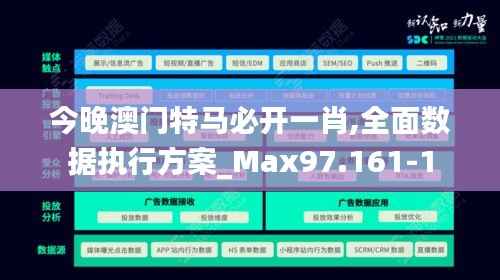 今晚澳门特马必开一肖,全面数据执行方案_Max97.161-1