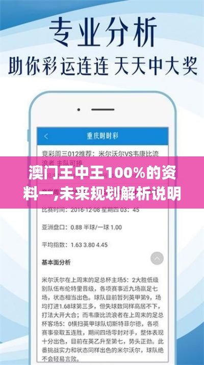 澳门王中王100%的资料一,未来规划解析说明_网页款20.611-9