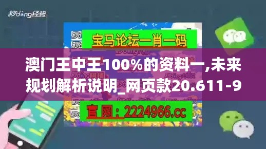 澳门王中王100%的资料一,未来规划解析说明_网页款20.611-9
