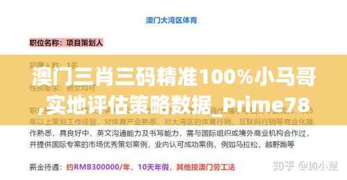 澳门三肖三码精准100%小马哥,实地评估策略数据_Prime78.208-2