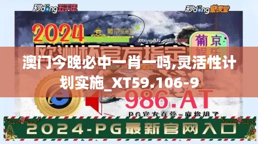 澳门今晚必中一肖一吗,灵活性计划实施_XT59.106-9