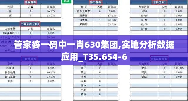 管家婆一码中一肖630集团,实地分析数据应用_T35.654-6