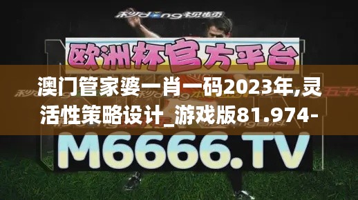 澳门管家婆一肖一码2023年,灵活性策略设计_游戏版81.974-6