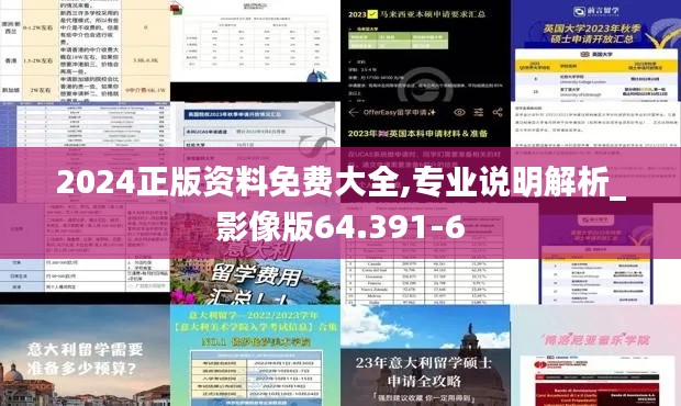 2024正版资料免费大全,专业说明解析_影像版64.391-6