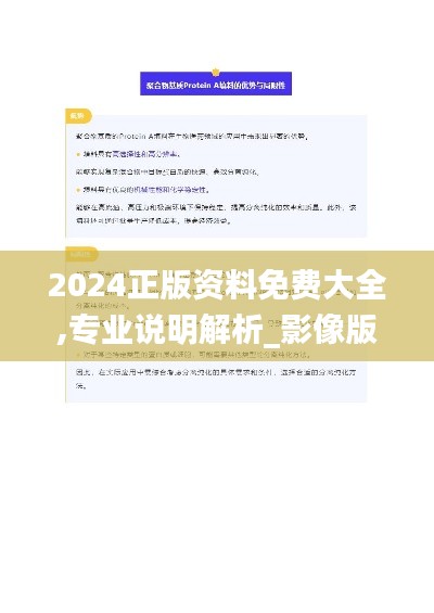 2024正版资料免费大全,专业说明解析_影像版64.391-6