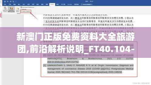 新澳门正版免费资料大全旅游团,前沿解析说明_FT40.104-2