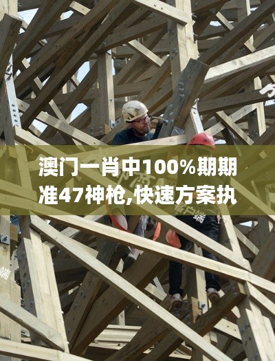 澳门一肖中100%期期准47神枪,快速方案执行指南_6DM43.543-9