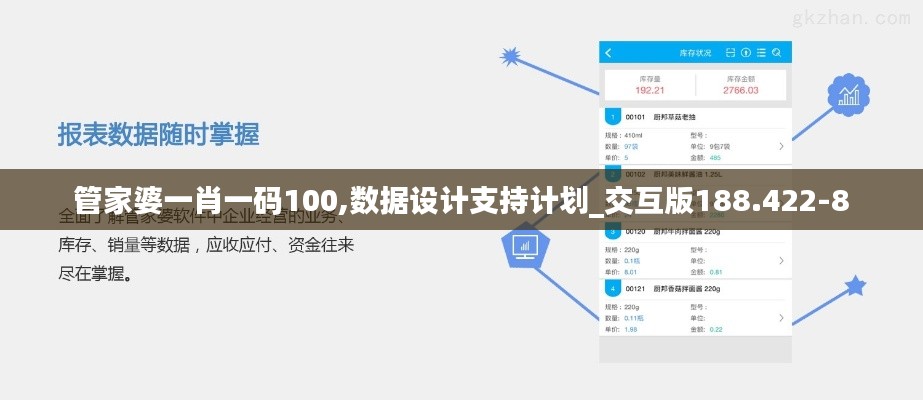 管家婆一肖一码100,数据设计支持计划_交互版188.422-8