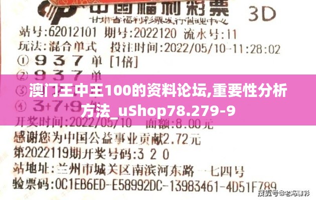 澳门王中王100的资料论坛,重要性分析方法_uShop78.279-9