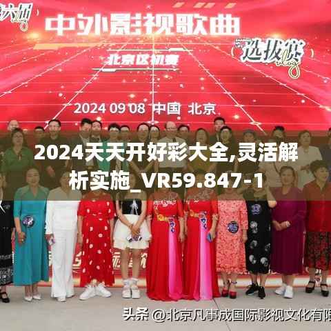 2024天天开好彩大全,灵活解析实施_VR59.847-1