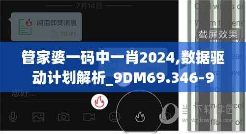 管家婆一码中一肖2024,数据驱动计划解析_9DM69.346-9
