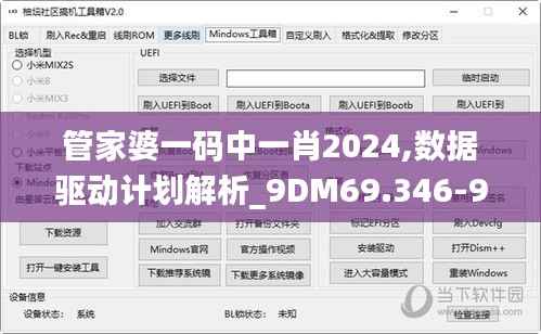 管家婆一码中一肖2024,数据驱动计划解析_9DM69.346-9