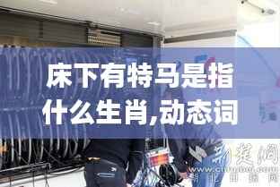 床下有特马是指什么生肖,动态词汇解析_UHD款18.482-7