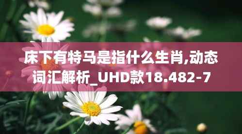 床下有特马是指什么生肖,动态词汇解析_UHD款18.482-7