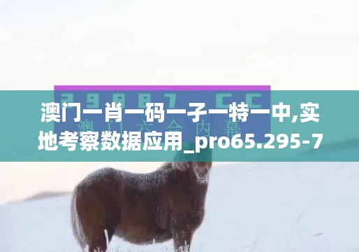 澳门一肖一码一孑一特一中,实地考察数据应用_pro65.295-7